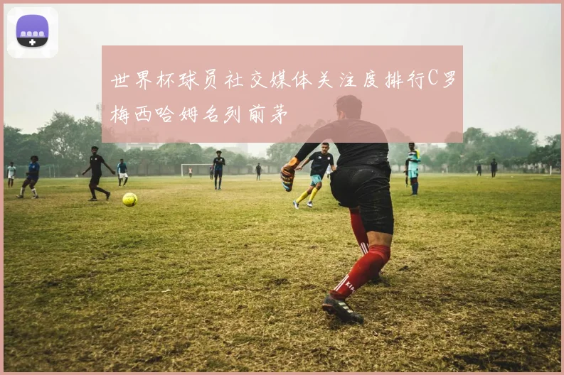 世界杯球员社交媒体关注度排行C罗梅西哈姆名列前茅