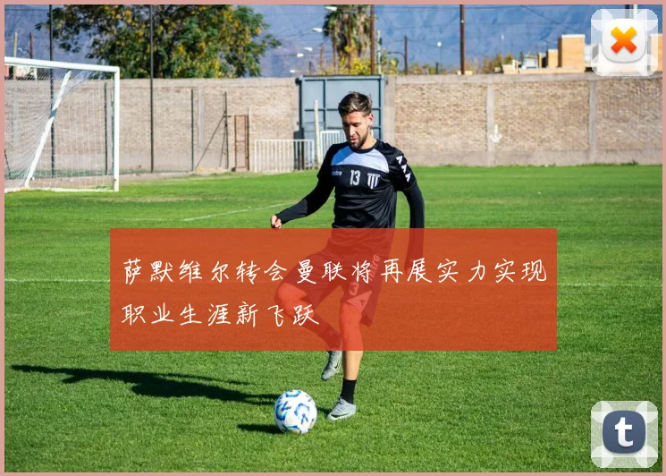 萨默维尔转会曼联将再展实力实现职业生涯新飞跃